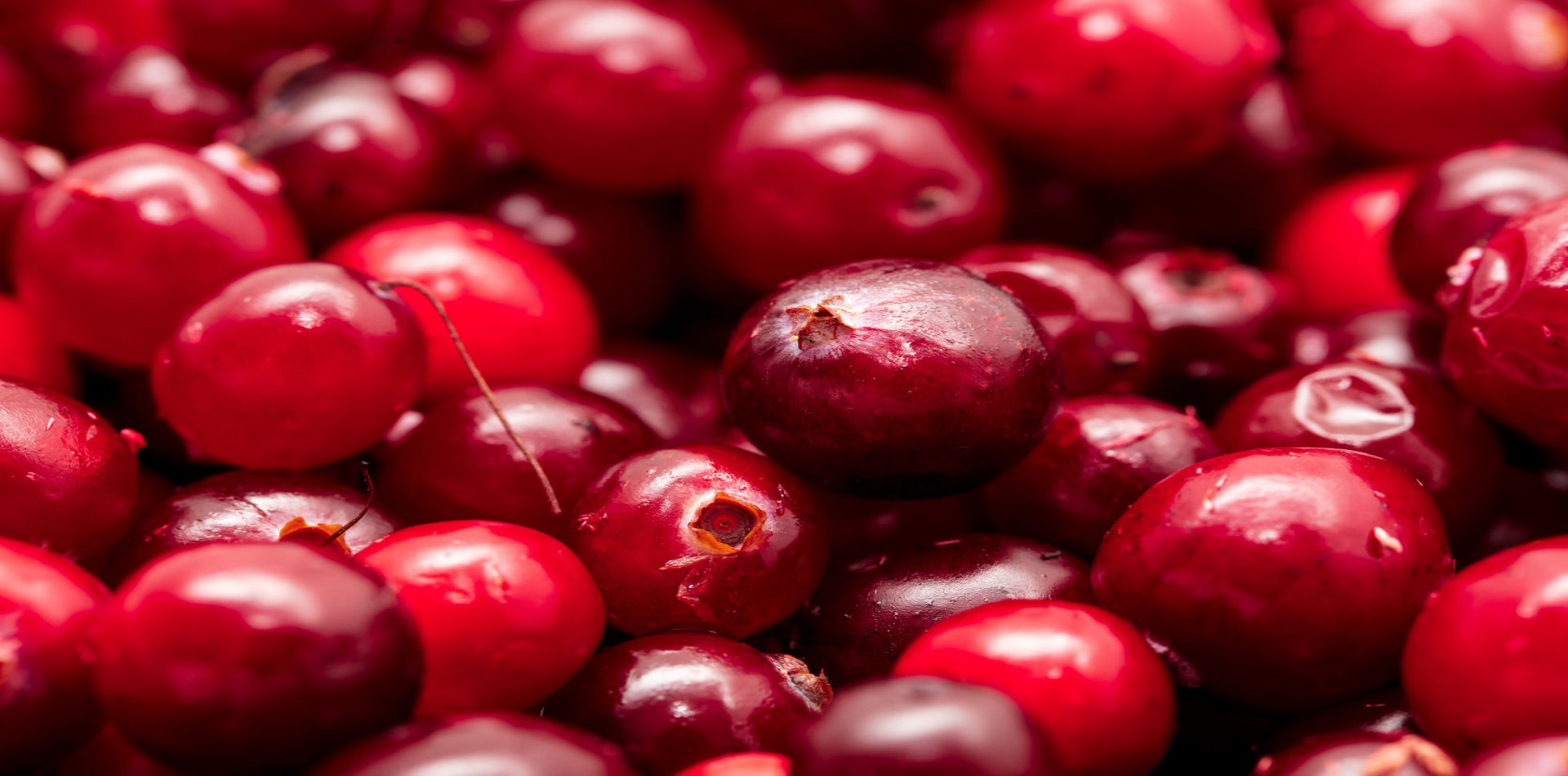 Cranberry - Superfoods for Urinary Tract Health